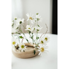 Small Tabletop Planter Small Tabletop Planter
